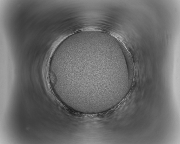 X0000095120289200712211315