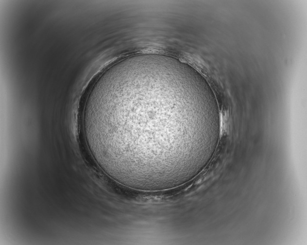 X0000095120291200712211315