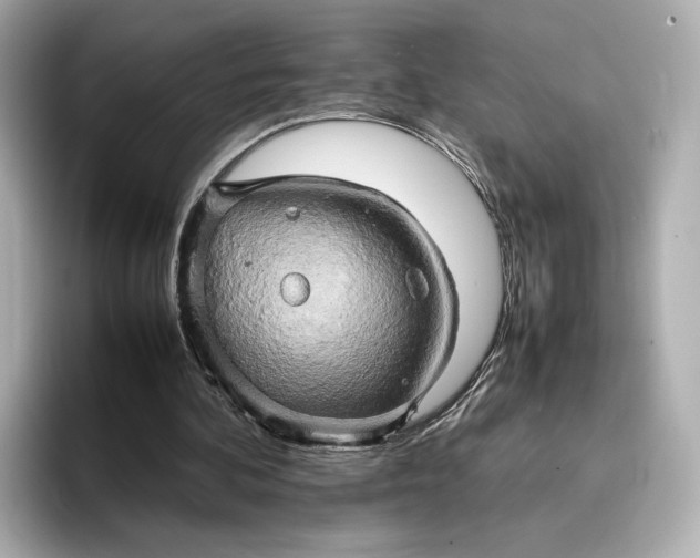 X0000095120292200712211315