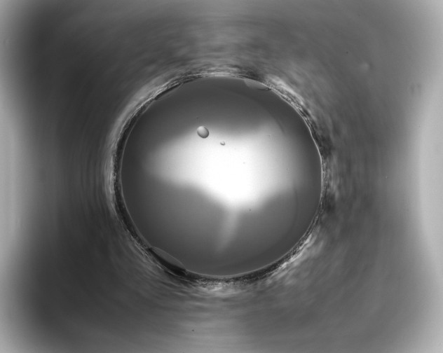 X0000095120293200712211315