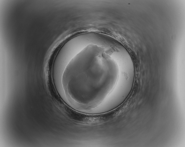 X0000095120295200712211315