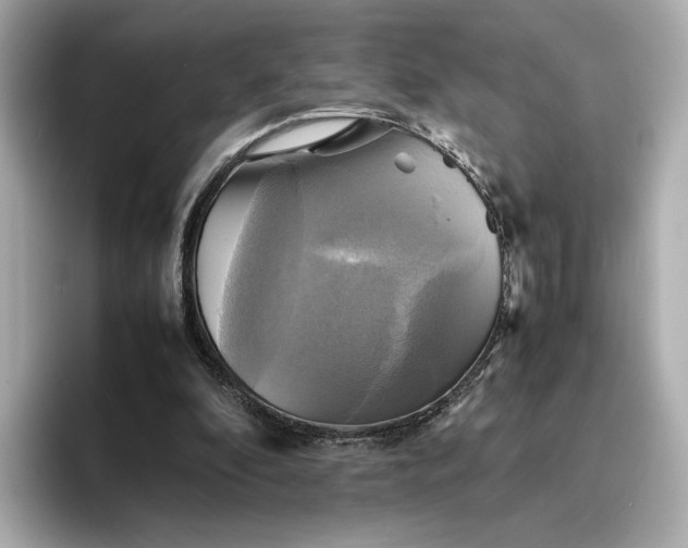 X0000095120296200712211315