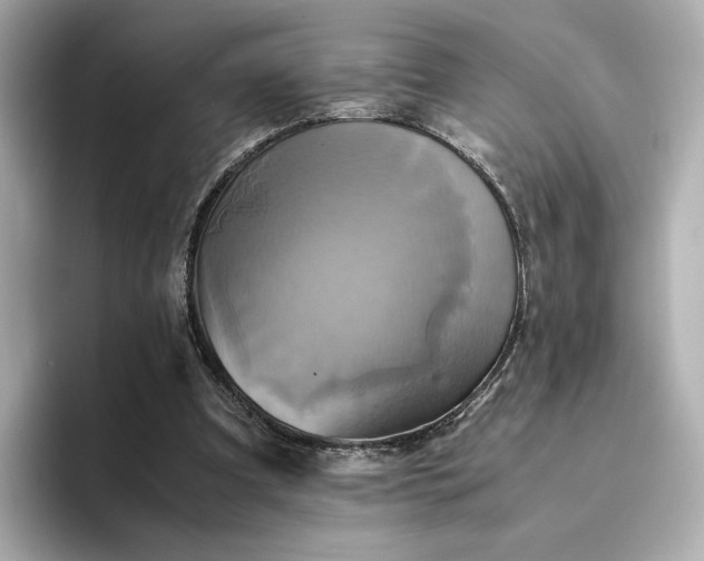 X0000095120297200712211315