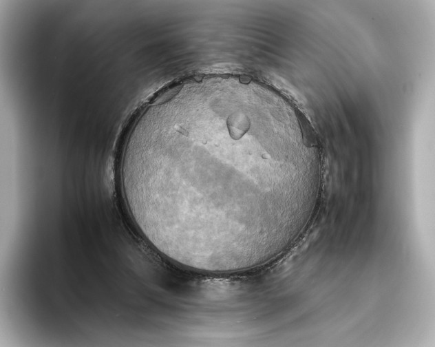 X0000095120298200712211315