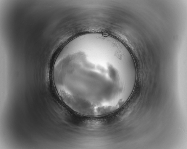 X0000095120299200712211315