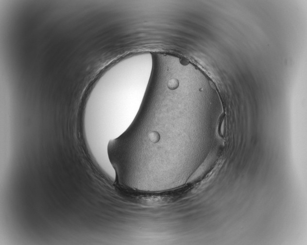 X0000095120301200712211315