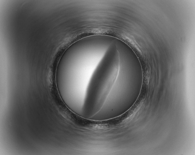 X0000095120303200712211315