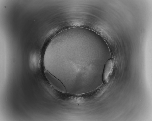 X0000095120304200712211315