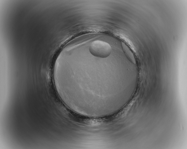 X0000095120305200712211315