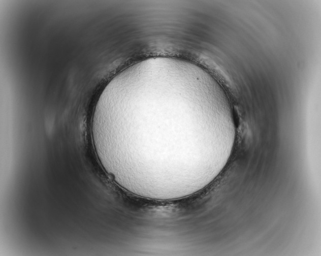 X0000095120306200712211315