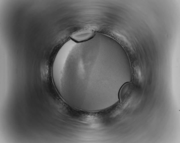 X0000095120308200712211315