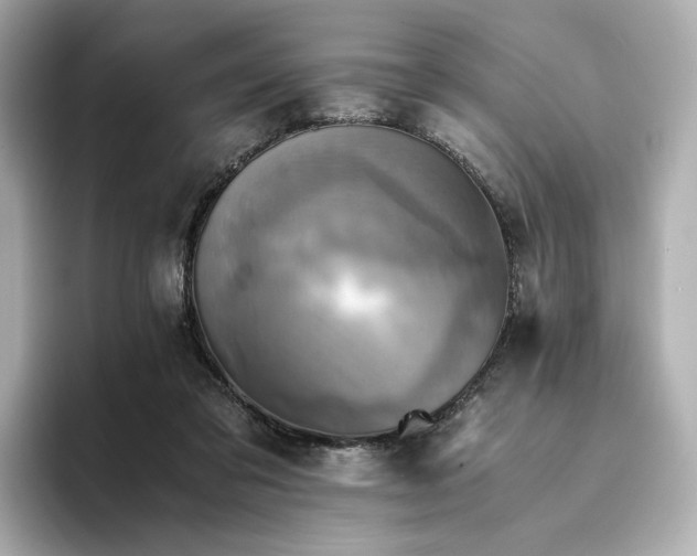 X0000095120309200712211315