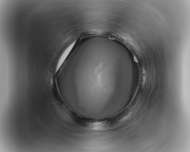 X0000095120312200712211315