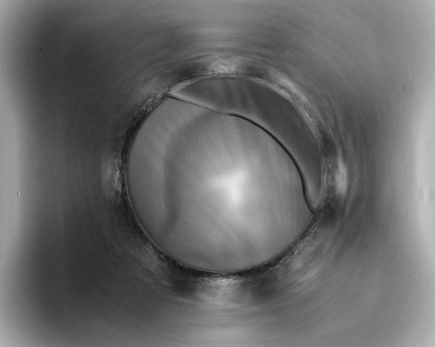 X0000095120313200712211315