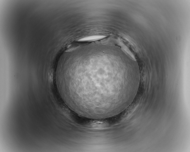 X0000095120315200712211315