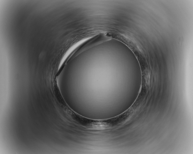 X0000095120316200712211315