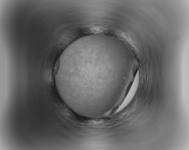 X0000095120317200712211315