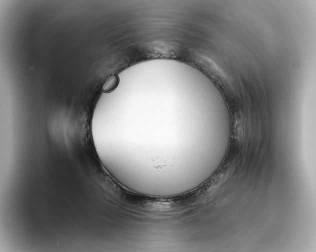 X0000095120318200712211315