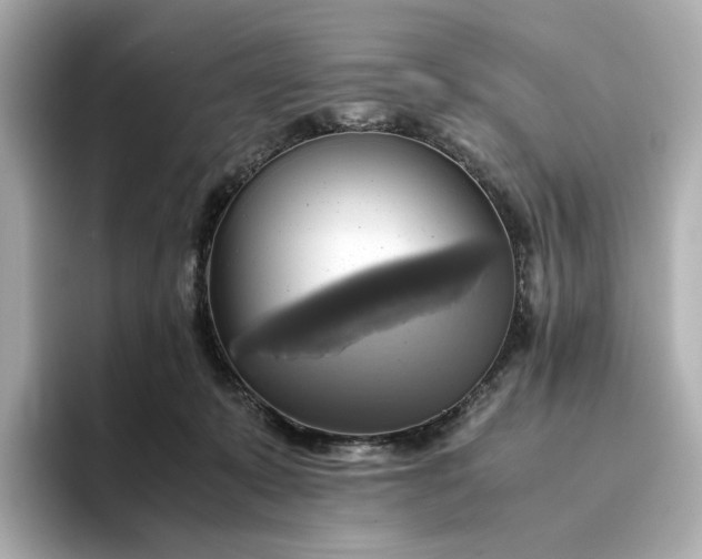 X0000095120319200712211315