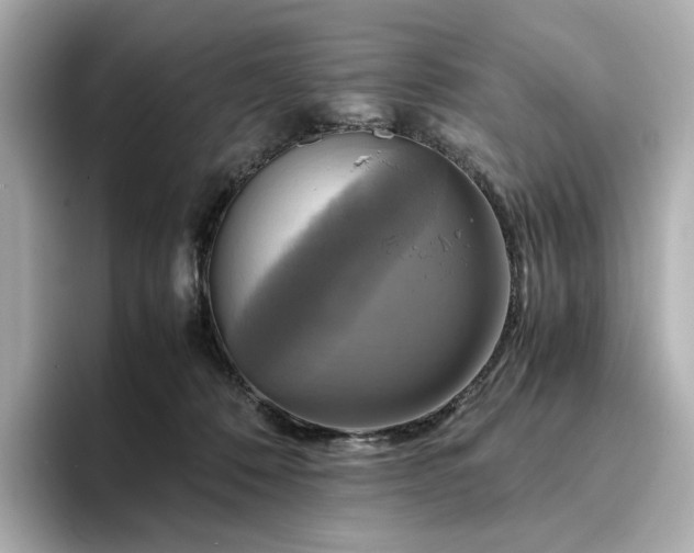 X0000095120320200712211315