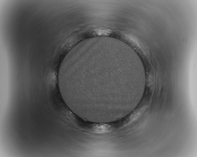 X0000095120321200712211315