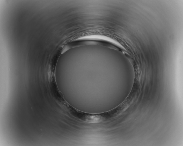 X0000095120324200712211315