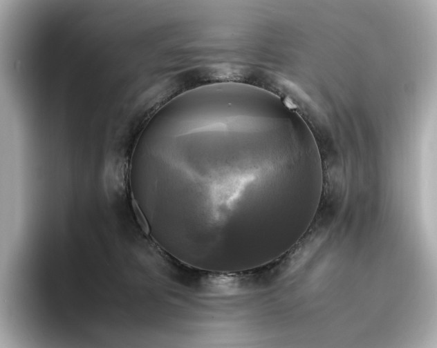 X0000095120325200712211315