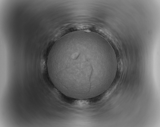 X0000095120327200712211315