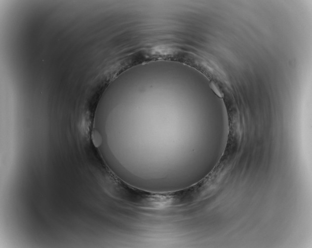 X0000095120328200712211315