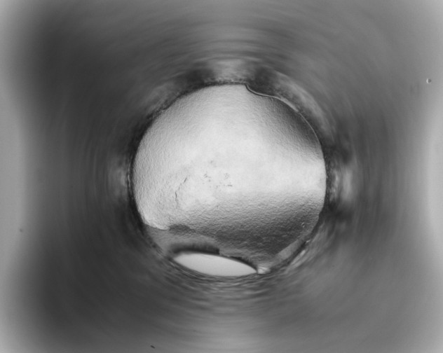 X0000095120329200712211315