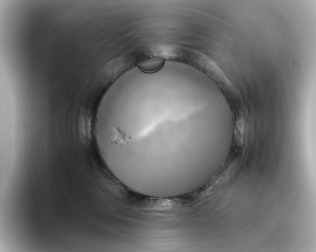 X0000095120330200712211315