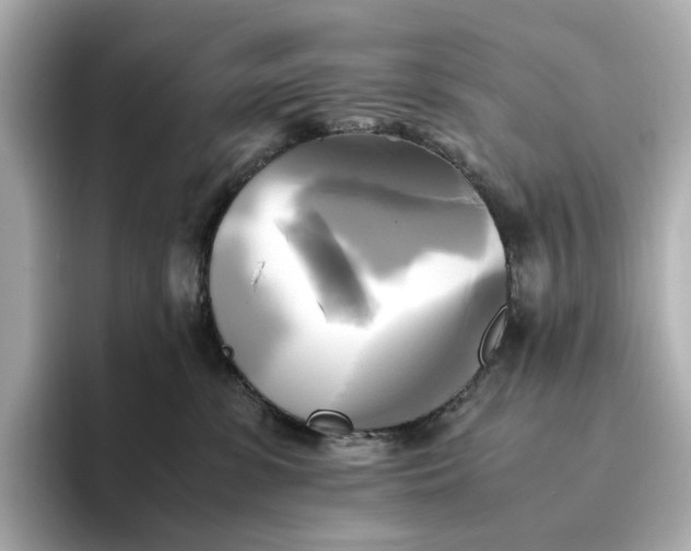 X0000095120331200712211315