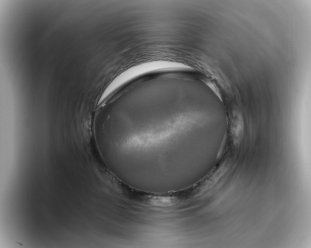 X0000095120332200712211315