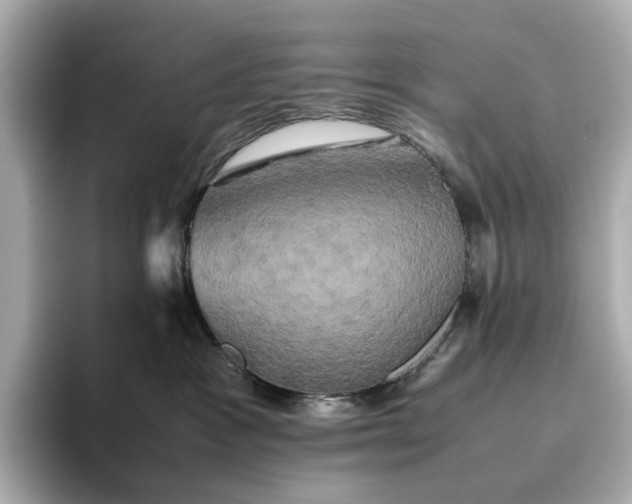 X0000095120333200712211315