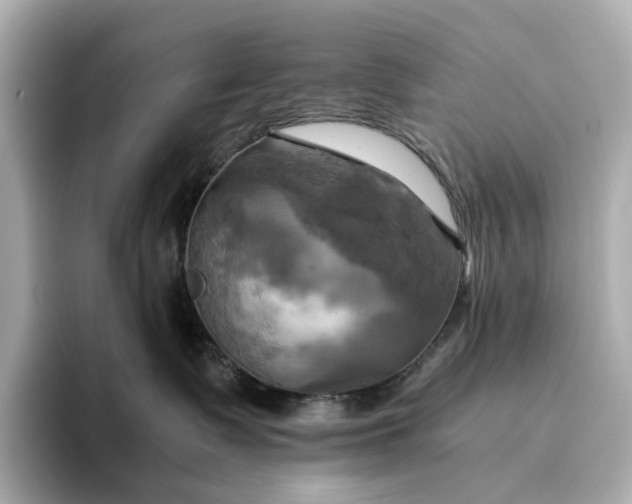 X0000095120335200712211315