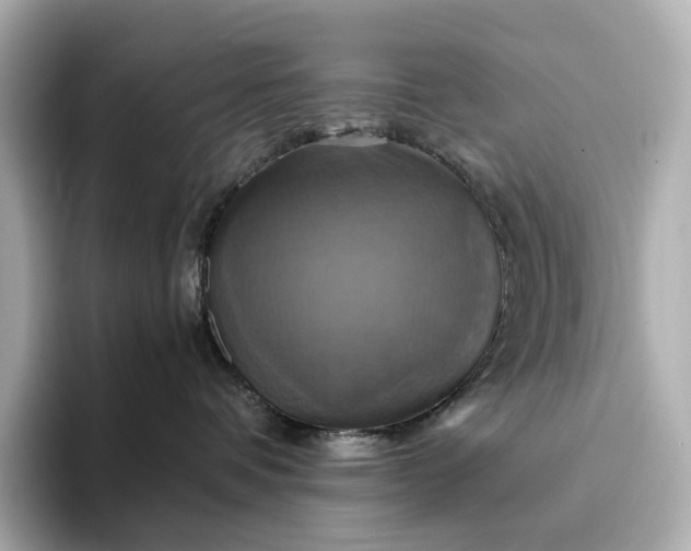 X0000095120336200712211315