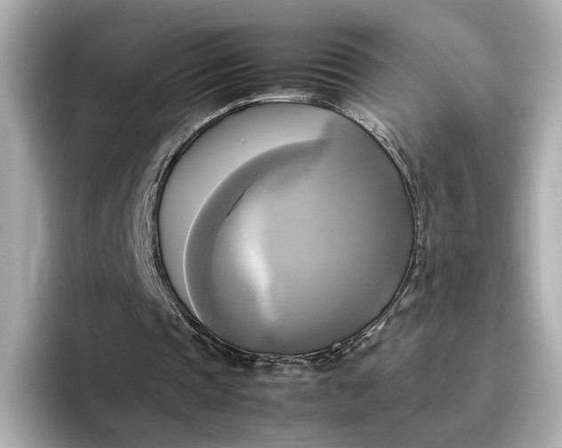 X0000095120337200712211314