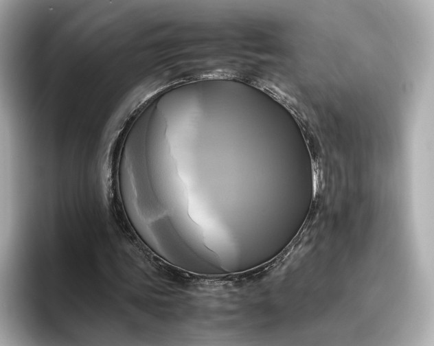 X0000095120339200712211314