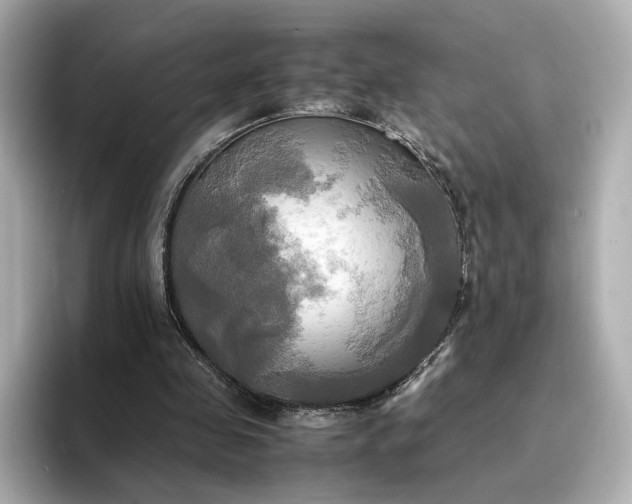 X0000095120341200712211314