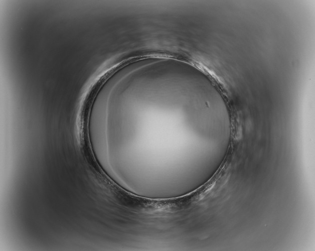 X0000095120343200712211314