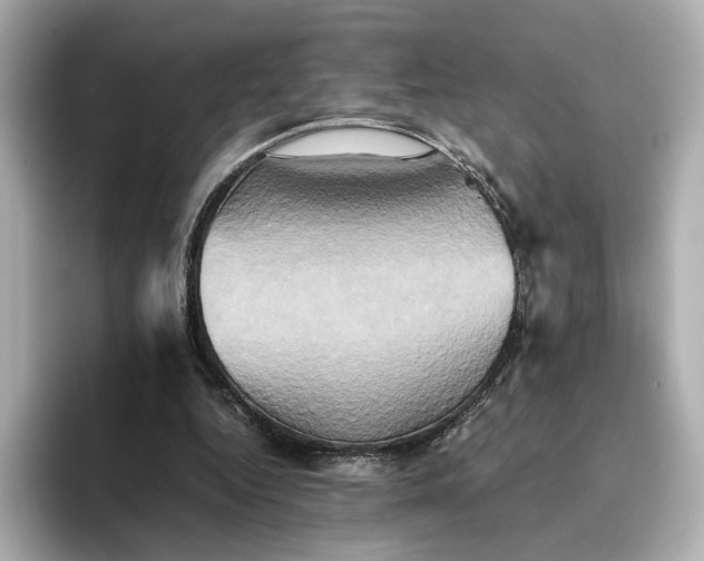 X0000095120344200712211314