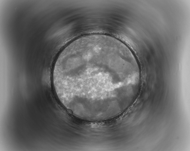 X0000095120345200712211314