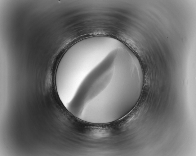 X0000095120347200712211314