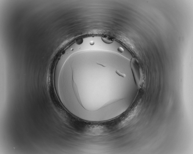 X0000095120348200712211314