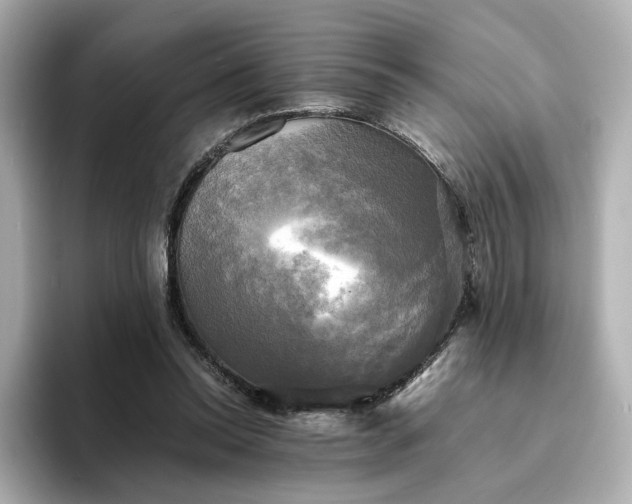 X0000095120350200712211314