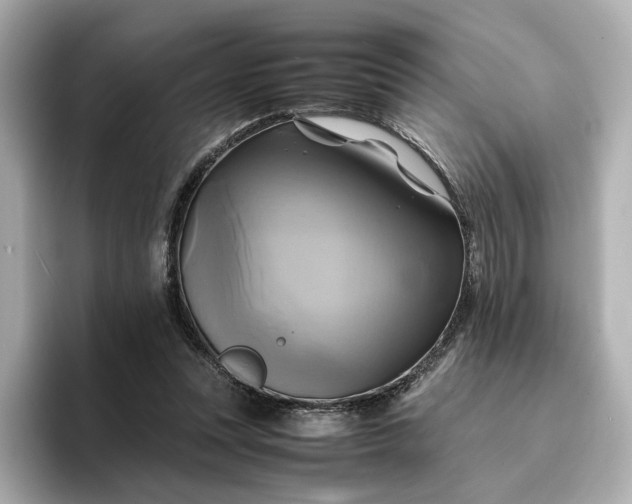 X0000095120351200712211314