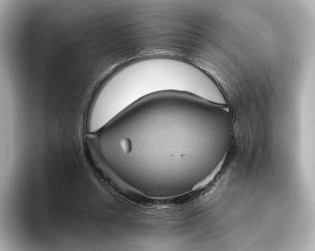 X0000095120352200712211314