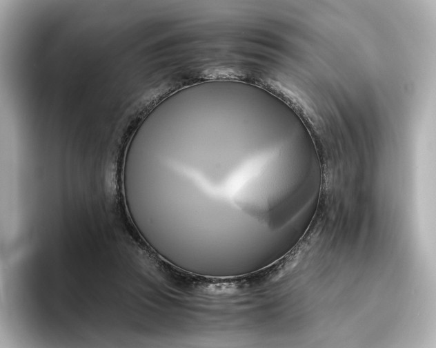 X0000095120353200712211314