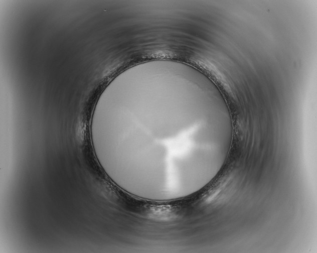 X0000095120355200712211314