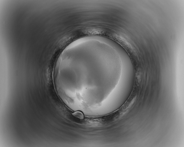 X0000095120359200712211314